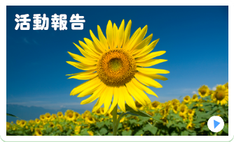 活動報告